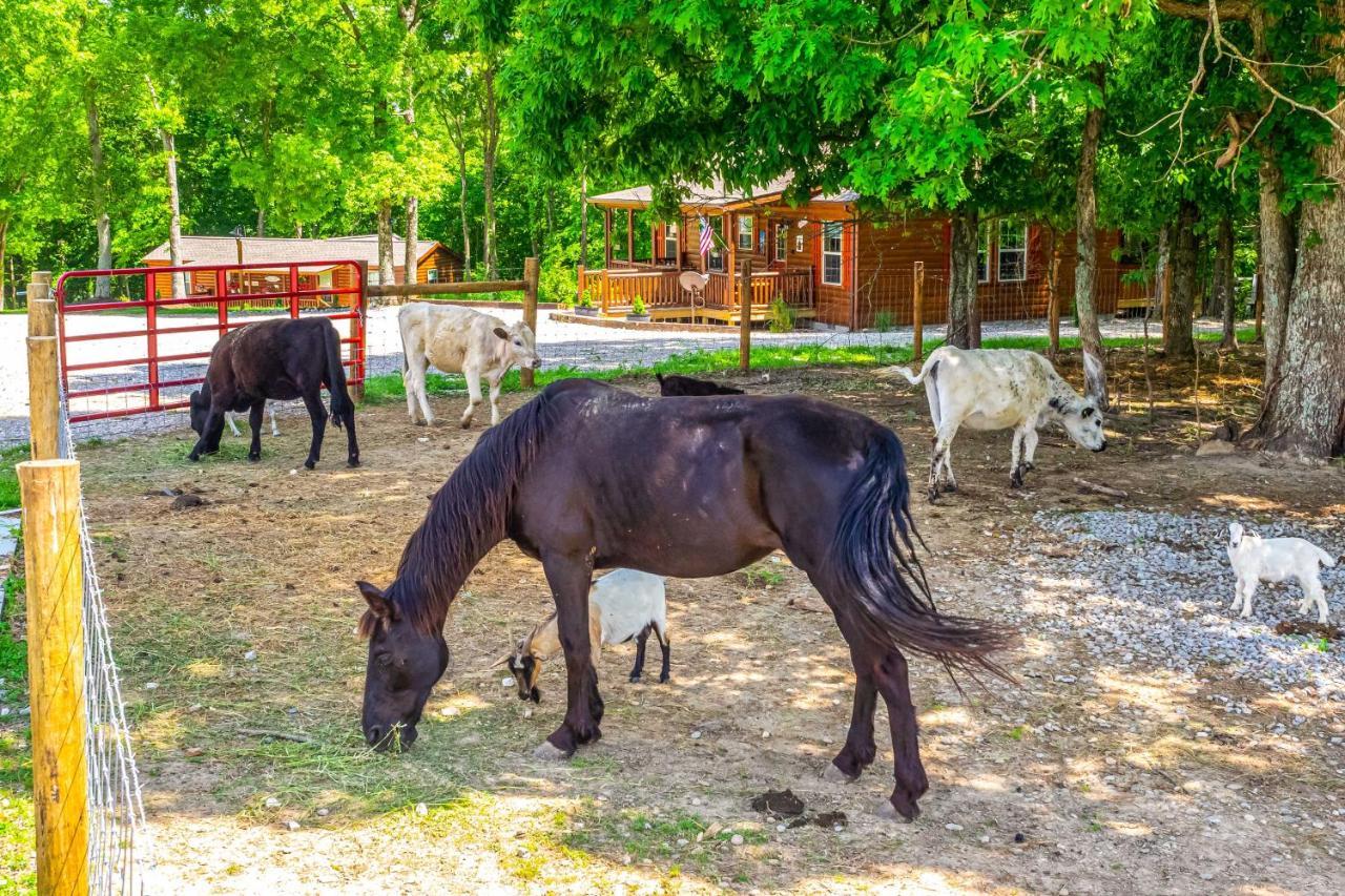 Almost Heaven Farmers Paradise On 50 Acres! Villa Brownsville Exterior foto